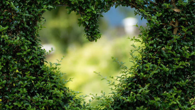 Associazione Legambiente Gorizia